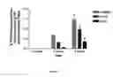 Fig. 04 - Self-aligning tissue growth guide