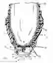 Fig. 04 - Double-wall prosthetic limb assembly