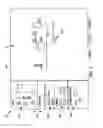 Fig. 04 - System for configuring graphic display elements and process modules in process plants