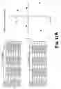 Fig. 24 - Method and system for morphometric analysis of human dental occlusal function and uses thereof