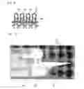 Fig. 10 - Knitting method, knitting fabric, knit designing device and knitting program for intarsia pattern