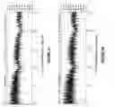 Fig. 02 - Jitter detection and reduction