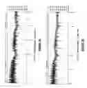 Fig. 03 - Jitter detection and reduction