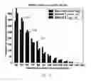 Fig. 13 - Statistical-deterministic approach to natural disaster prediction
