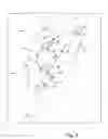 Fig. 07 - Analysis and characterization of fault networks