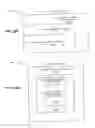Fig. 30 - Virtual credit with transferability