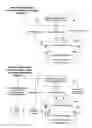 Fig. 02 - Electronic bond and guaranty process and business method