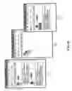 Fig. 33 - Systems, methods and computer readable code for visualizing and managing digital cash