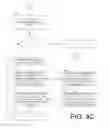 Fig. 10 - Systems and methods for multi-style portfolio (MSP) cash flow enhancement