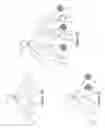 Fig. 04 - Generating a selection representation for items in tree structures