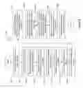 Fig. 08 - Generating a selection representation for items in tree structures