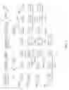 Fig. 02 - Data Structures and Methods for Genealogical Research