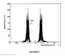 Fig. 08 - SNR estimation using filters