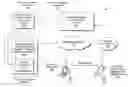 Fig. 01 - Strategies for sending content to a target device