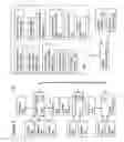 Fig. 03 - Method and system for providing remote access to baggage scanned images