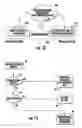 Fig. 08 - Method and system for delivering behavior modification information over a network