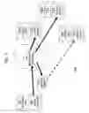 Fig. 03 - Multicast-unicast adapter