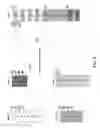 Fig. 07 - Media article adaptation to client device