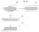 Fig. 06 - Selecting a path comprising ports on primary and secondary clusters to use to transmit data at a primary volume to a secondary volume
