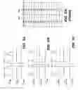 Fig. 06 - Sequential scan technique providing enhanced fault coverage in an integrated circuit