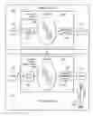 Fig. 01 - Screen splitting for Web browsers
