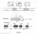 Fig. 07 - Video summarization apparatus and method