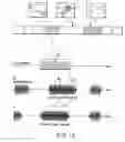 Fig. 14 - Video summarization apparatus and method