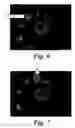 Fig. 06 - Traversal of datasets using positioning of radial input device
