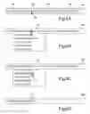 Fig. 08 - Virtual address bar user interface control
