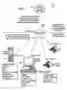 Fig. 04 - Networked linux machine and windows software development system