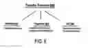 Fig. 07 - Multivariable transfer functions