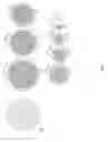 Fig. 06 - Rendering optimization method and system