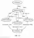 Fig. 22 - Creating machine vision inspections using a state diagram representation