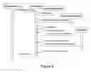 Fig. 07 - Method and apparatus for cross organizational sharing of software applications using host platform