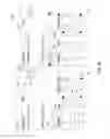 Fig. 06 - Flexible horizontal stack display and editor