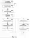 Fig. 15 - Multiplatform programming environment