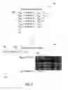 Fig. 07 - Hiding irrelevant facts in verification conditions