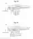 Fig. 05 - Execution flow shape compression for aggregate data reporting in an application manager