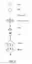 Fig. 03 - Process of automatically translating a high level programming language into an extended activity diagram