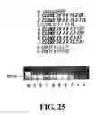Fig. 32 - Thiol methyltransferase-based selection