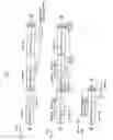 Fig. 07 - Novel vector and method of constructing transformant plant using the vector