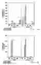 Fig. 02 - Early endosperm promoter eep1