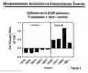 Fig. 03 - Early endosperm promoter eep1