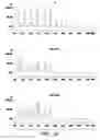 Fig. 04 - Method for increasing an abiotic-resistance in monocot plant