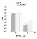 Fig. 06 - Method for increasing an abiotic-resistance in monocot plant