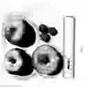 Fig. 03 - Peach tree named 'NJF16'