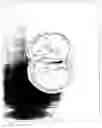 Fig. 06 - Late seedless mandarin