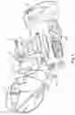 Fig. 04 - Leaf and debris sweeper