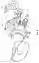 Fig. 05 - Leaf and debris sweeper