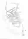 Fig. 02 - Tethered shoelace clip